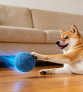 Wicked Ball PE: Bridging the Distance with the Language of Play
