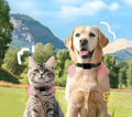 Guardian GPS Dog Tracker: No Subscription, Real-Time Location US