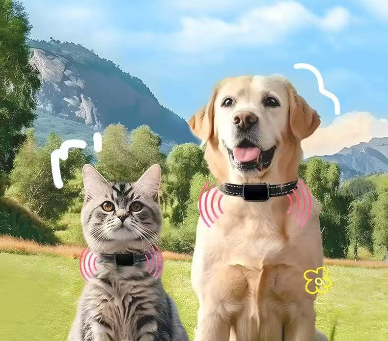 Guardian GPS Dog Tracker: No Subscription, Real-Time Location US