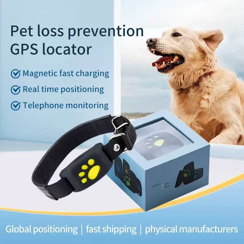 Tractive LTE GPS: The Traveler's Prayer for Absolute Safety