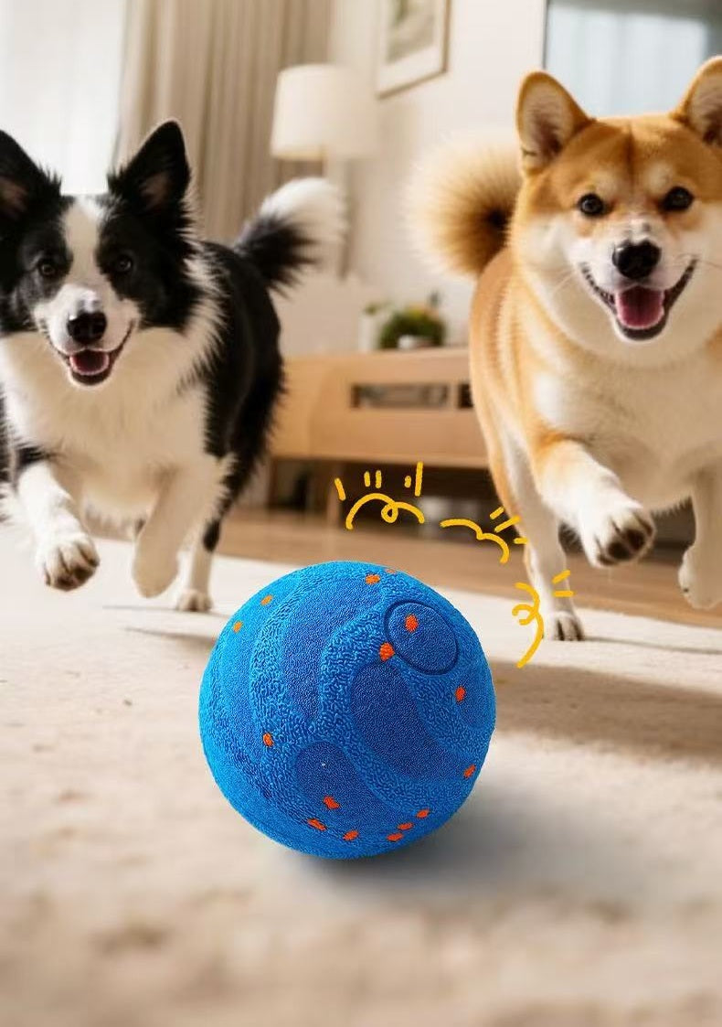 Wicked Ball PE: Bridging the Distance with the Language of Play