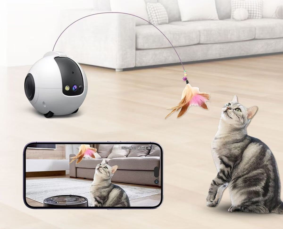OpenClaw Tease: AI-Driven 2K Smart Teaser Wand & Companion Monitoring Robot