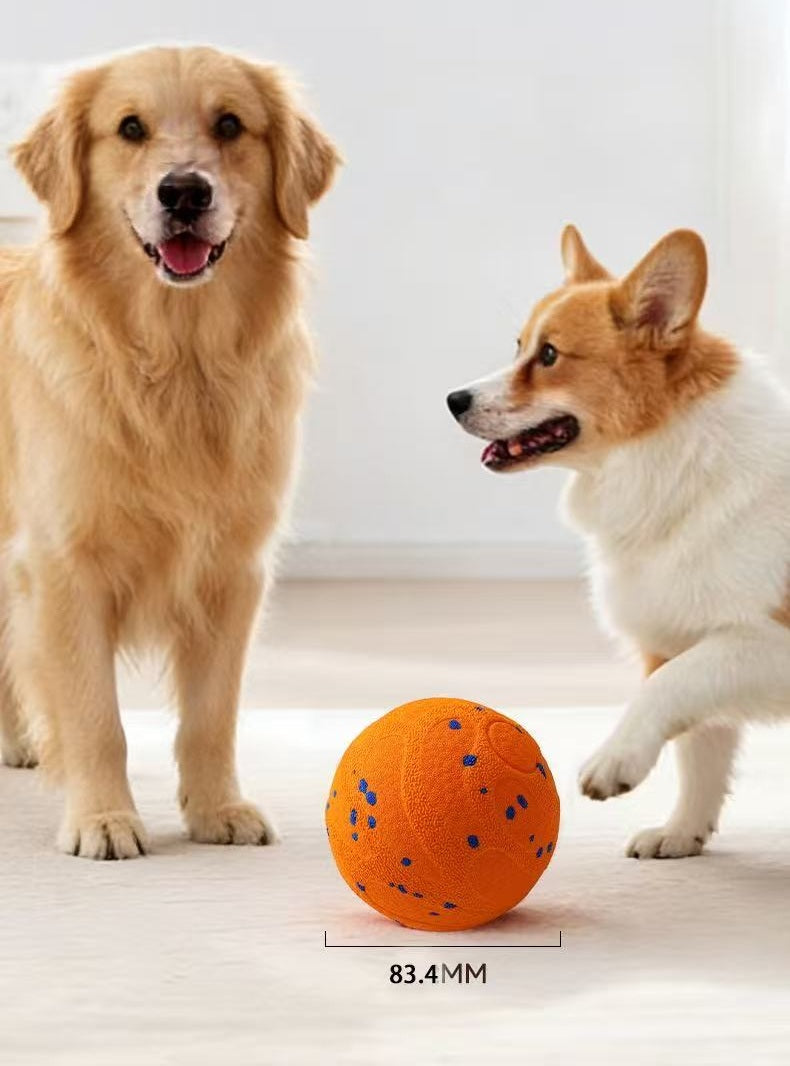 Wicked Ball PE: Bridging the Distance with the Language of Play