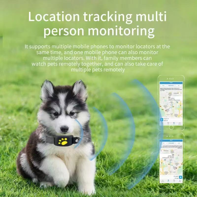 Tractive LTE GPS: The Traveler's Prayer for Absolute Safety