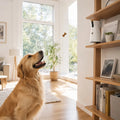Furbo 360° Smart Camera - Summer Separation Anxiety Relief with Treat Tossing