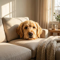 Custom 3D Shaped Pet Pillow - Personalized Pet Portrait