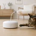 OpenClaw Pounce - Smart Interactive Cat Discovery Starter - main product photo