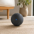 OpenClaw Chase - Interactive Smart Activity Sphere for Pets - main product photo