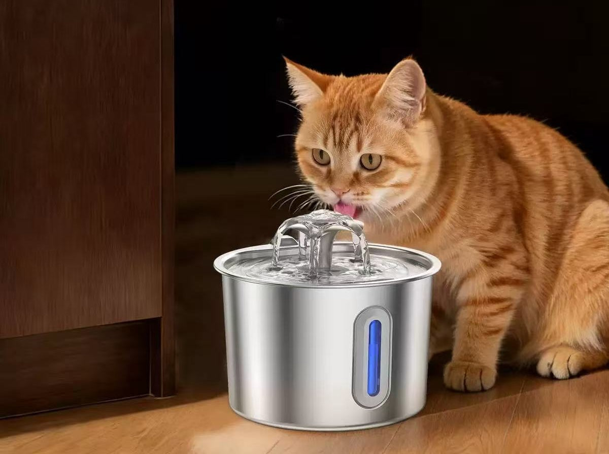 OpenClaw Flow - Ultra-Silent Sensing Stainless Fountain